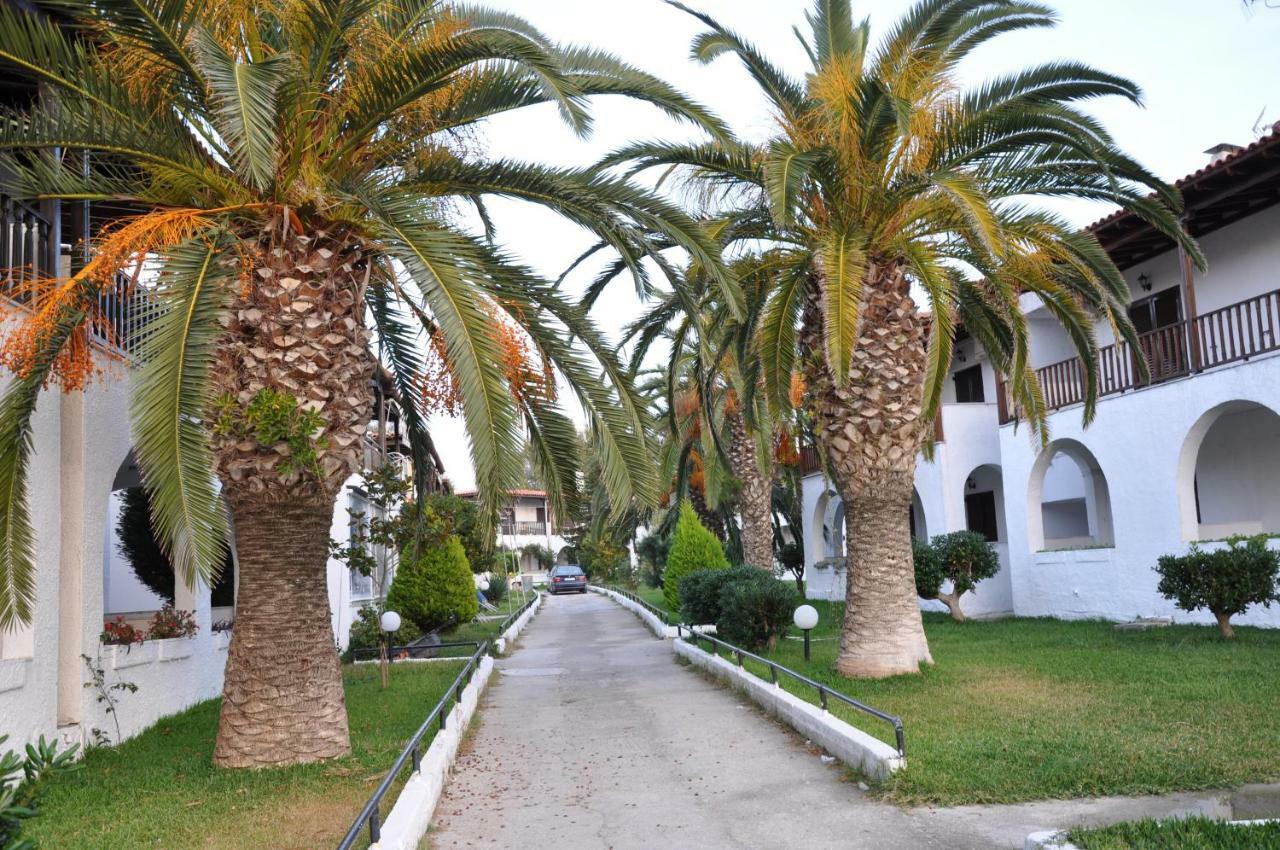 Modern 100m. From The Sea *